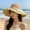Daisy Woven Straw Sun Hat with Wide Brim for Beach Travel and Summer UV Protection