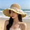 Daisy Woven Straw Sun Hat with Wide Brim for Beach Travel and Summer UV Protection