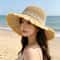 Daisy Woven Straw Sun Hat with Wide Brim for Beach Travel and Summer UV Protection