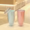 Double Wall Tumbler with Straw Reusable Cold Drink Cup for Iced Coffee & Juice