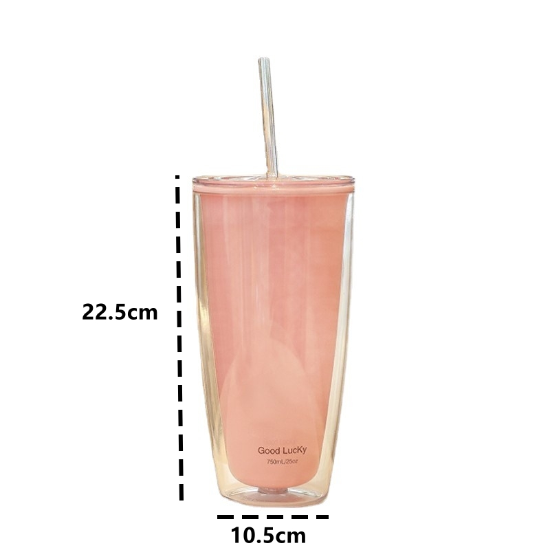 Double Wall Tumbler with Straw Reusable Cold Drink Cup for Iced Coffee & Juice