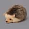 Cute Plush Hedgehog Toy Realistic Soft Animal Doll for Kids Room Decor & Gifts