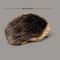 Cute Plush Hedgehog Toy Realistic Soft Animal Doll for Kids Room Decor & Gifts