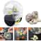 RollEase Garlic Crusher Roller Manual Garlic Mincer and Ginger Chopper