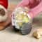 RollEase Garlic Crusher Roller Manual Garlic Mincer and Ginger Chopper