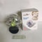 RollEase Garlic Crusher Roller Manual Garlic Mincer and Ginger Chopper