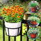 Iron Art Metal Flower Pot Hanger for Indoor & Outdoor Plants