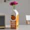 Orange Fruit Ceramic Vase For Modern Home Decor Hydroponic Flowers 0