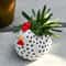 Rustic Chicken Flower Pot Rooster Planter For Garden And Farmhouse Decor 2