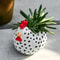 Rustic Chicken Flower Pot Rooster Planter For Garden And Farmhouse Decor 2