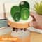 Cactus Ceramic Measuring Spoon Set With Holder For Kitchen Decor And Baking 2