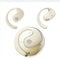 AeroHook Wireless Bluetooth Earbuds With Touch Control And Secure Ear Fit 7