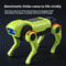 Robotic Dog Kit for Kids DIY Electric Bionic Puppy Toy