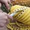 Stainless Steel Pineapple Peeler and Slicer Kitchen Tool