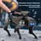 CyberWolf Interactive Robot Wolf Toy with Touch Sensor, Walking Motion, Lights and Sound