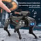 CyberWolf Interactive Robot Wolf Toy with Touch Sensor, Walking Motion, Lights and Sound