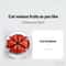 Stainless Steel Apple Cutter and Fruit Slicer with Comfort Grip Handle