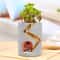 Hedgehog Succulent Planter Pot For Cute Desk And Home Decor 1
