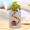 Hedgehog Succulent Planter Pot For Cute Desk And Home Decor 1