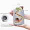 Hedgehog Succulent Planter Pot For Cute Desk And Home Decor 2