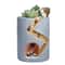 Hedgehog Succulent Planter Pot For Cute Desk And Home Decor 5