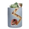 Hedgehog Succulent Planter Pot For Cute Desk And Home Decor 5