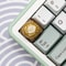 Chocolate Bonbon Artisan Keycap for MX Mechanical Keyboards Handmade Resin ESC Key