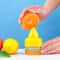 Manual Citrus Juicer & Fruit Spray Squeezer for Lemons, Oranges and Limes