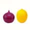 FreshLock Lemon & Onion Keeper Containers for Fridge Storage