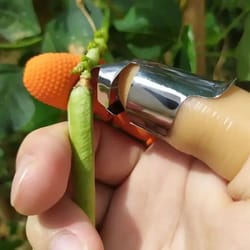 harvestpro stainless steel thumb knife for garden harvesting & fruit picking