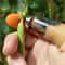 HarvestPro Stainless Steel Thumb Knife for Garden Harvesting & Fruit Picking