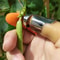 HarvestPro Stainless Steel Thumb Knife for Garden Harvesting & Fruit Picking