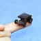 Solar Powered Mini Science Car Kit for Kids STEM Learning and Solar Energy Experiments
