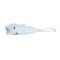 GlowPals Rechargeable Animal Flashlight for Kids Bedtime & Outdoor Adventures