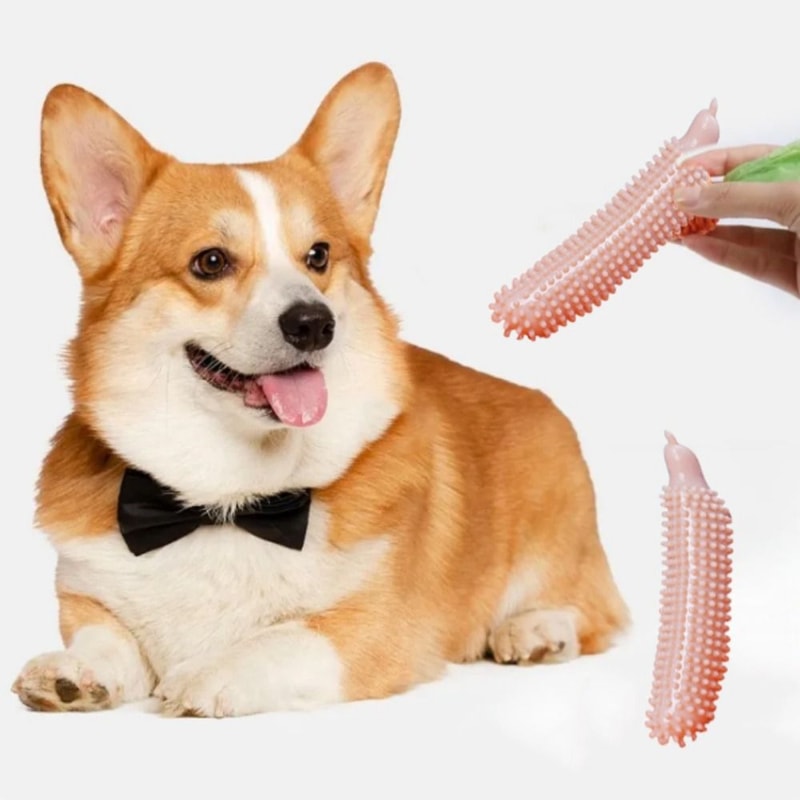Cucumber FreshClean Dog Chew Toy for Teeth Cleaning and Aggressive Chewers