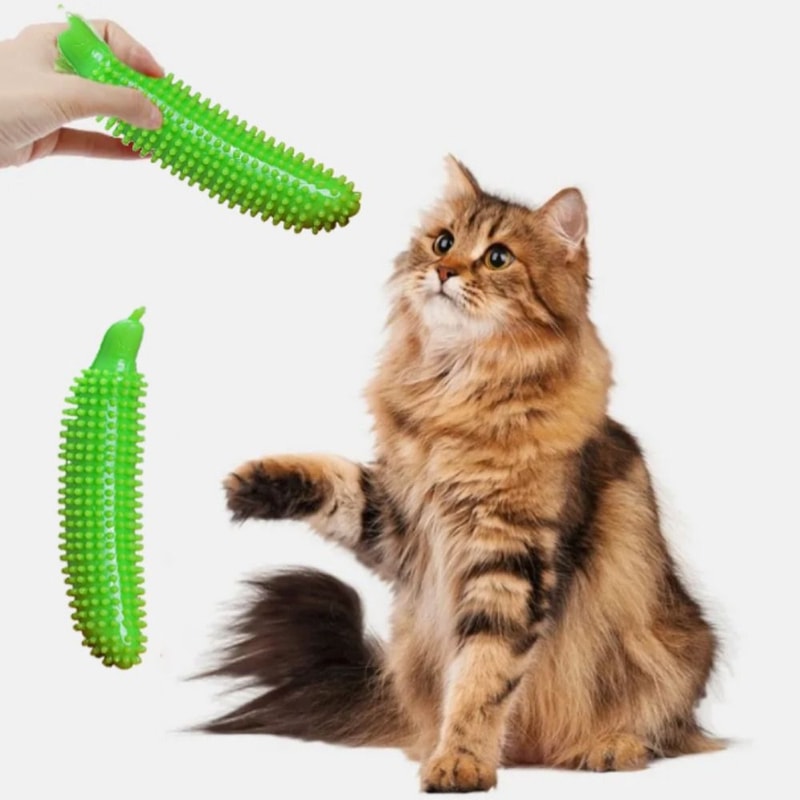 Cucumber FreshClean Dog Chew Toy for Teeth Cleaning and Aggressive Chewers