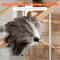 Ostrich Feather Duster With Wooden Handle Anti Static Reusable Cleaning Brush 3