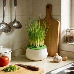 hydrogrow green onion planter pot for indoor hydroponic herb garden regrowth