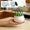 HydroGrow Green Onion Planter Pot for Indoor Hydroponic Herb Garden Regrowth