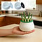 HydroGrow Green Onion Planter Pot for Indoor Hydroponic Herb Garden Regrowth