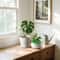 HydroGrow Green Onion Planter Pot for Indoor Hydroponic Herb Garden Regrowth