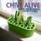 FreshSprout Green Onion Regrow Kit for Balcony & Windowsill Indoor Gardening