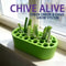 FreshSprout Green Onion Regrow Kit for Balcony & Windowsill Indoor Gardening
