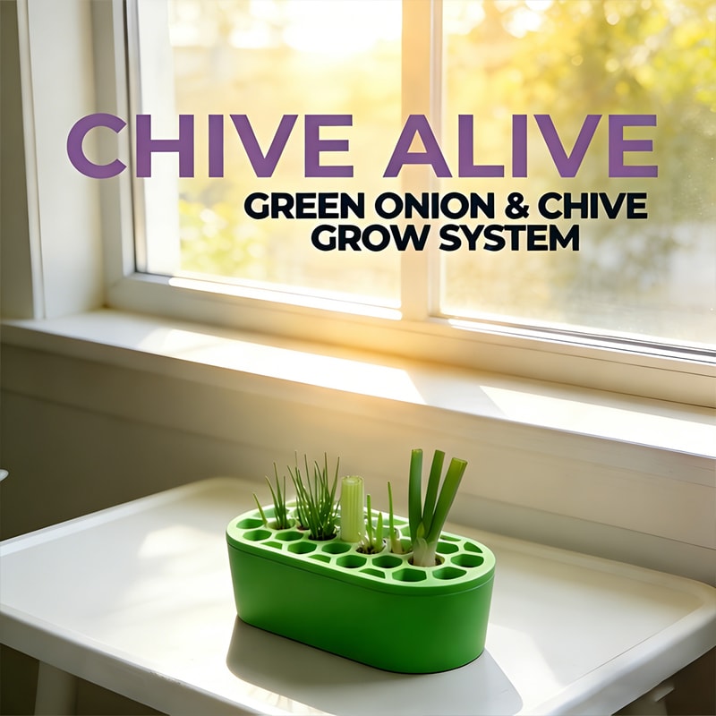 FreshSprout Green Onion Regrow Kit for Balcony & Windowsill Indoor Gardening