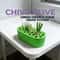 FreshSprout Green Onion Regrow Kit for Balcony & Windowsill Indoor Gardening