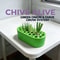 FreshSprout Green Onion Regrow Kit for Balcony & Windowsill Indoor Gardening