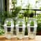 ClearView Hydroponic Seed Starter Cups With Humidity Dome For Indoor Plant Propagation 1