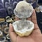 Moroccan Agate Geode Ring Box Natural Crystal Jewelry Holder Gift