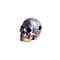 Gold Skull Bead Pendant Necklace with Movable Mouth – Wearable Bracelet Accessory