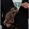 Robbie the Rocky Raccoon – Life-Like Magic Raccoon Toy for Tricks & Comedy